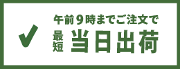 午前9時まで購入で最短、当日出荷